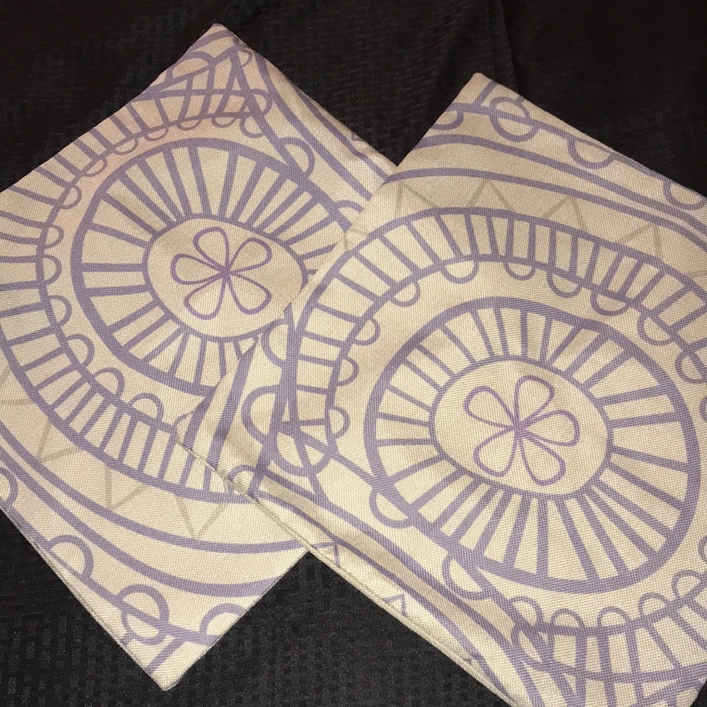 Linen Pillow Cases Set of Two